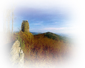 Berg Hirschenstein mit Aussichtsturm